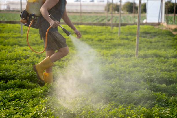 Best Pest Control Near Me in Garrett, TX