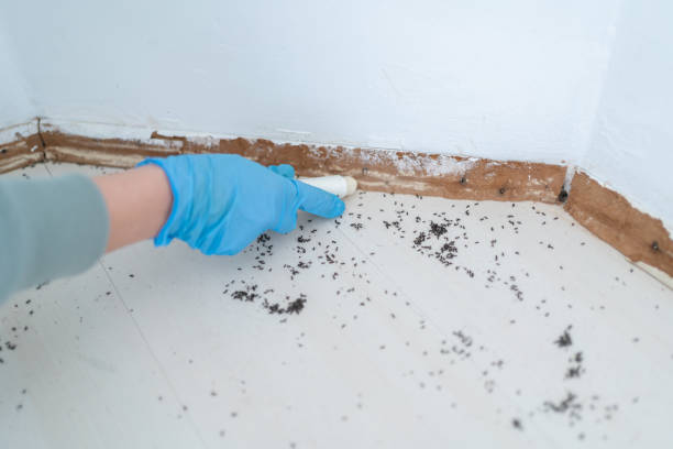 Best Pest Control Near Me in Garrett, TX